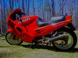 Duc5.jpg