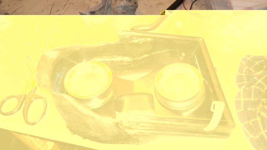 13062011082.JPG