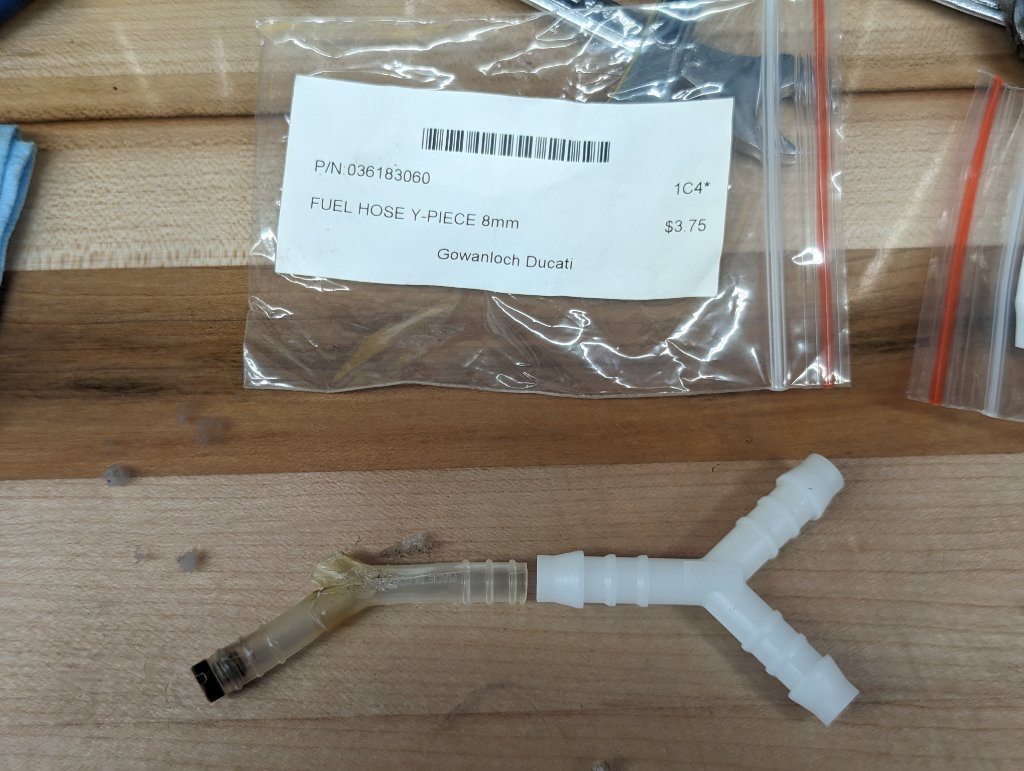 PXL_20240509_225458575.jpg